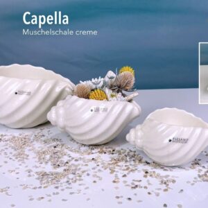 Muschelschale Capella